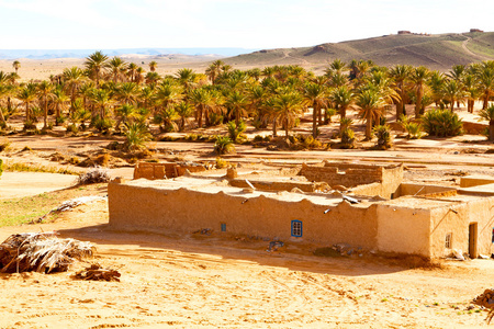 在摩洛哥撒哈拉非洲棕榈老建筑