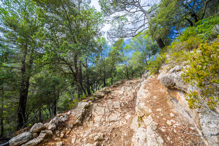 美丽的景色的塞拉利昂 de Tramuntana，马略卡岛，西班牙