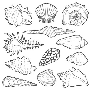 海贝壳矢量图标集