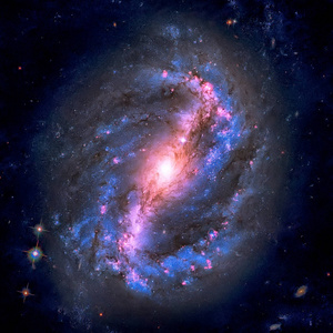 小熊座ngc 6217 是小熊的螺旋星系照片