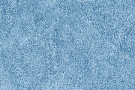 古色古香的蓝色动物皮肤羊皮纸 Grunge 纹理样本