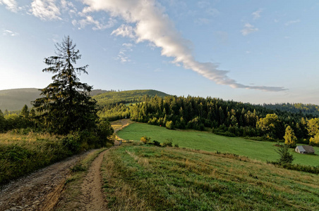乡村路通向森林。绿草在左侧和右侧。多云的天空