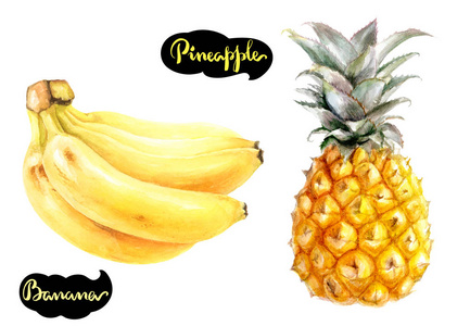 香蕉，菠萝水彩插图