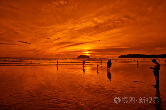 海滩和热带海