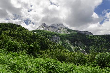 比利牛斯山