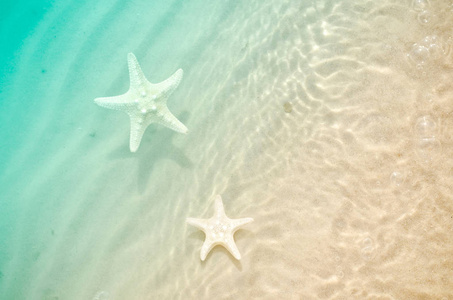 用沙子夏天海滩上的海星