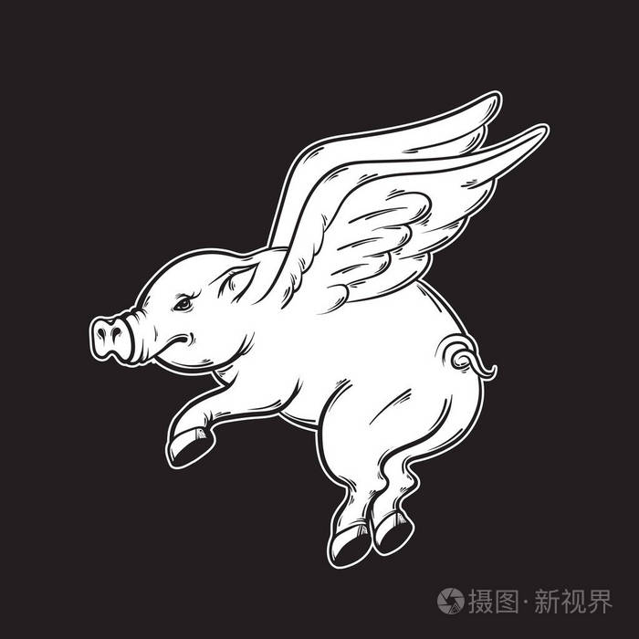 矢量手绘制的插图的会飞的猪插画-正版商用图片0dcad5-摄图新视界
