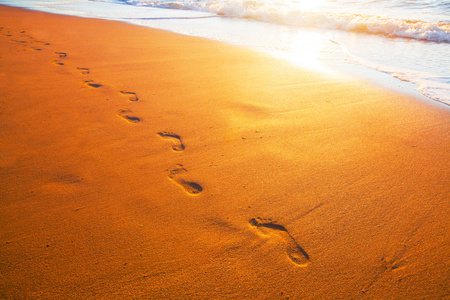 在海岸线上的脚印图片-在海岸线上的脚印素材-在海岸线上的脚印插画-