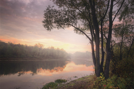 深秋的黎明照片