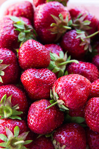 红草莓的和谐图片