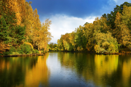 桦树在河里的秋景