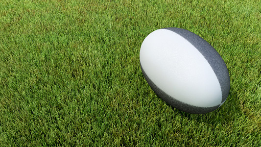 草地上的黑色橄榄球