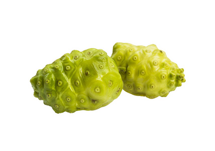 巴戟天海巴戟图片