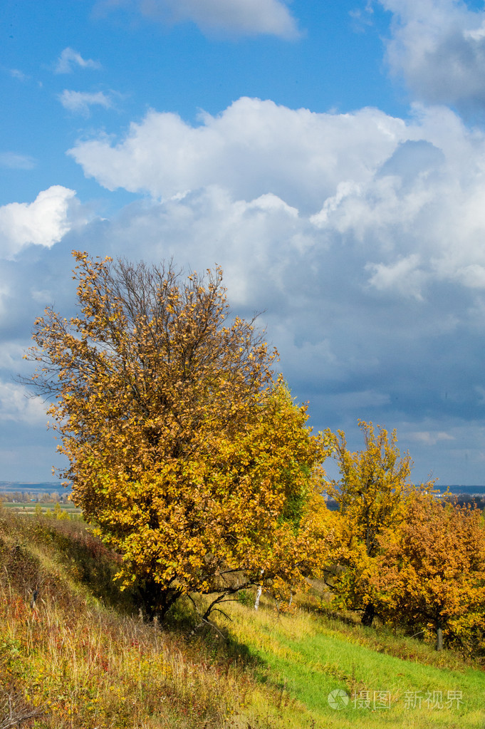 到秋天，金黄的树叶，美好的时光温暖的天气