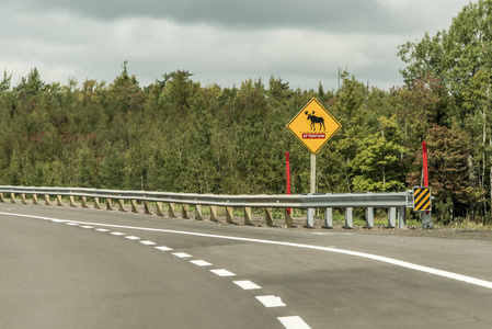 黄色菱形交通道路标志警告注意驼鹿过境，沿着横贯加拿大道路魁北克张贴