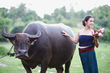 泰国古代年轻女性的水牛在农村图片