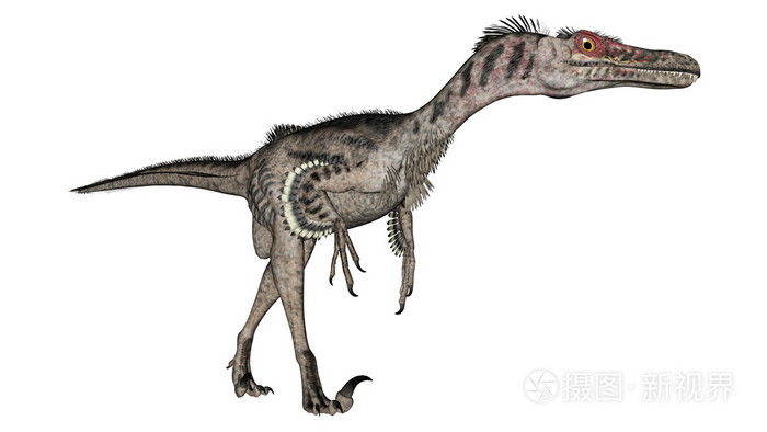 伶盗龙的恐龙3d渲染