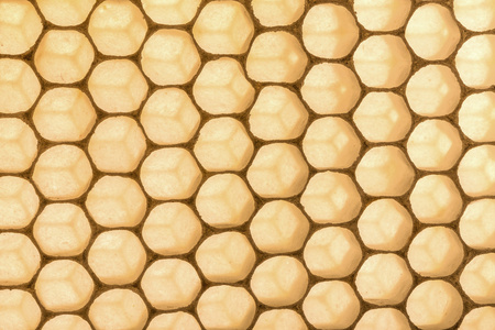 养蜂业的黄色宏结构特写