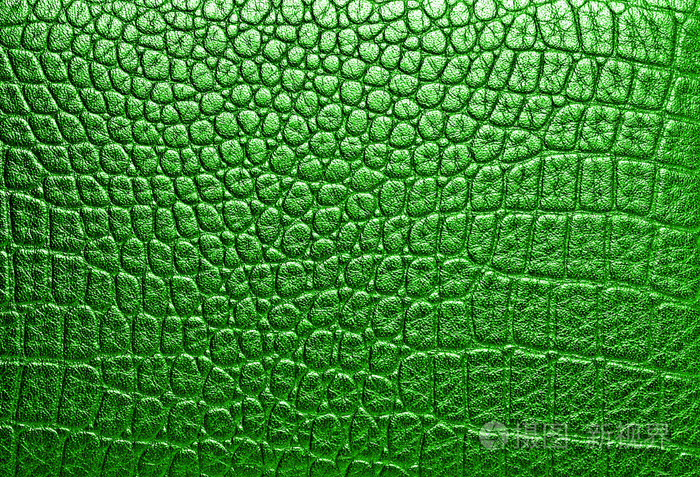 绿色的鳄鱼皮可用作背景