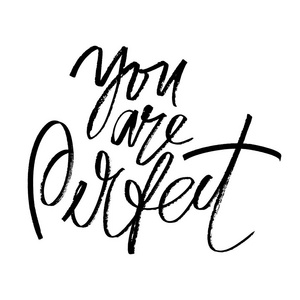 你是完美的手工的单词.孤立的矢量图.手写的现代书法.