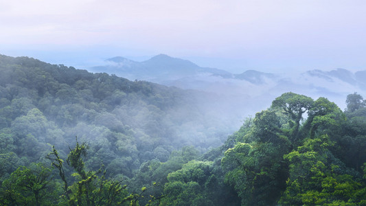 绿色的森林和美丽的山，在茵他侬清迈 Thaila