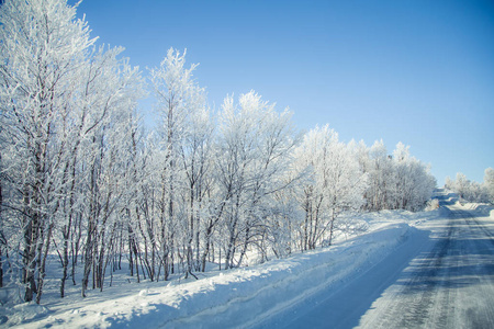 一道亮丽的风景，与挪威冬季的白路