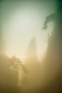 景观的雾山的中国