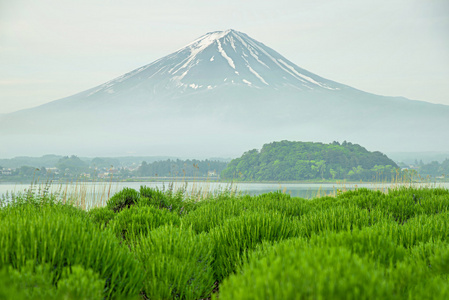 日本川口市富士山