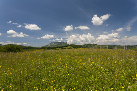 山景观