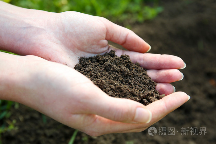 少数几个地面以上的黑色土壤