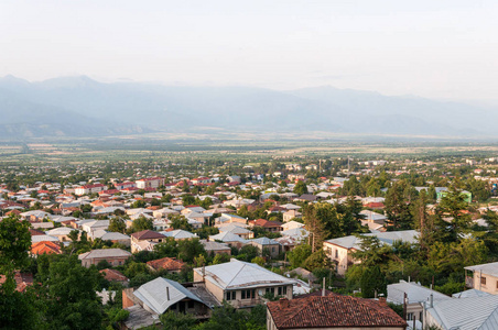 Telavi 新镇在格鲁吉亚的建筑物的山谷的全景
