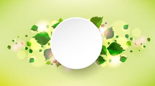 绿色的叶子和白色的圆
