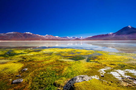 泻湖布兰科 amd 山的安第斯山脉在玻利维亚高原