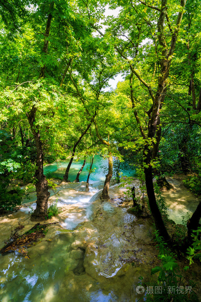 在森林里的一条山涧河流与田园诗般场景