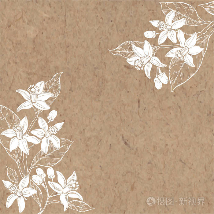 与橙花花卉背景