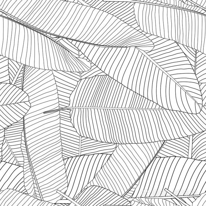 美丽的棕榈树叶轮廓无缝图案背景矢量图插画-正版商用图片0dfev6-摄图