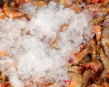 在冰上煮熟的虾