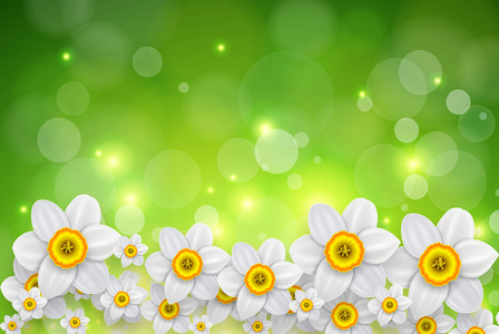 春赏花的背景图片
