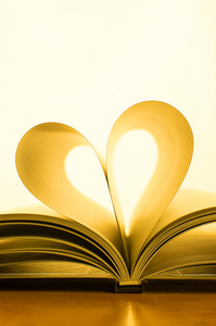 用一颗心的爱之书