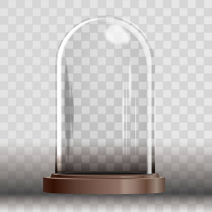 圣诞雪景球上透明花纹的背景矢量图孤立.