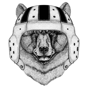 黑熊美洲黑熊野生动物穿橄榄球头盔运动图