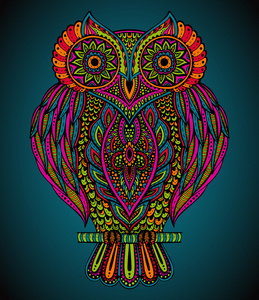 在野外的猫头鹰图片