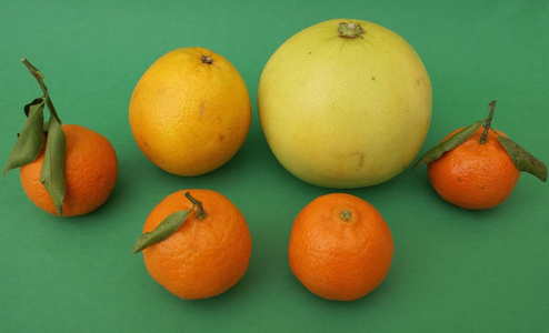 柑橘类水果。热带水果