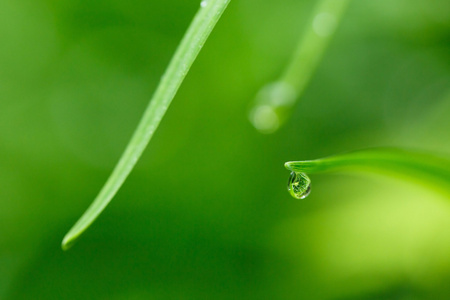 在完美无暇图片