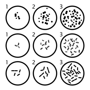 细菌细胞模式图简笔画图片