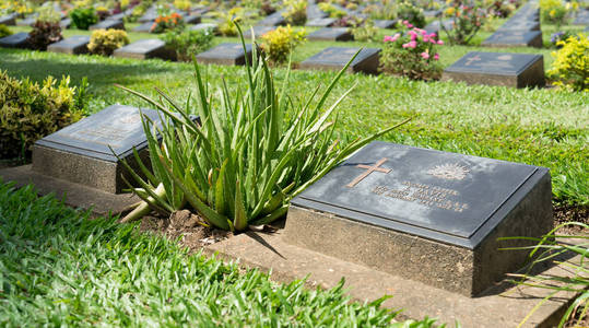 在泰国的北碧府,泰国-2017 年 8 月 13 日: 北碧府战争墓地.