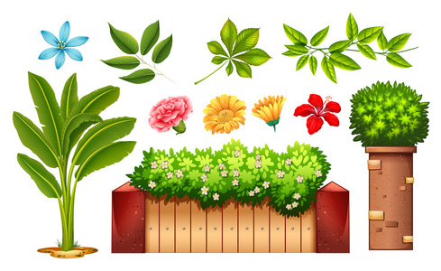 花园里鲜花和绿草卡通儿童游戏带叶子的橙子卡通孤立的图用彩色铅笔