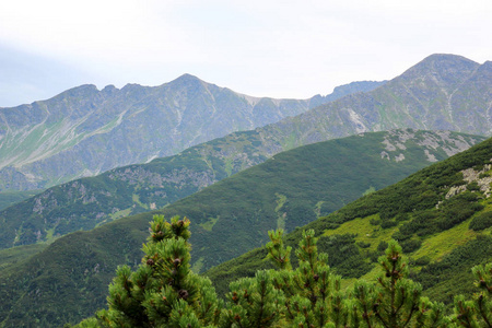 山区景观 Tatra 波兰