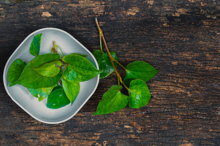 腥草腥草植物或 Plu Kaow 蔬菜与味草药亚洲健康食物