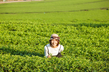 亚洲女人茶园